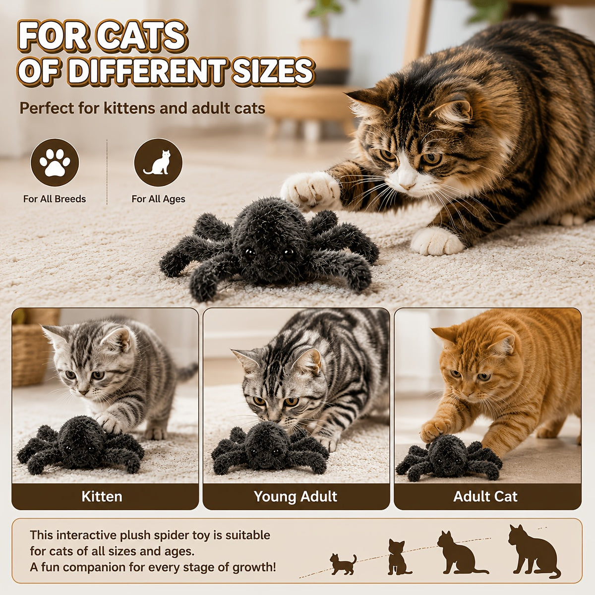Plush Spider Cat Toy